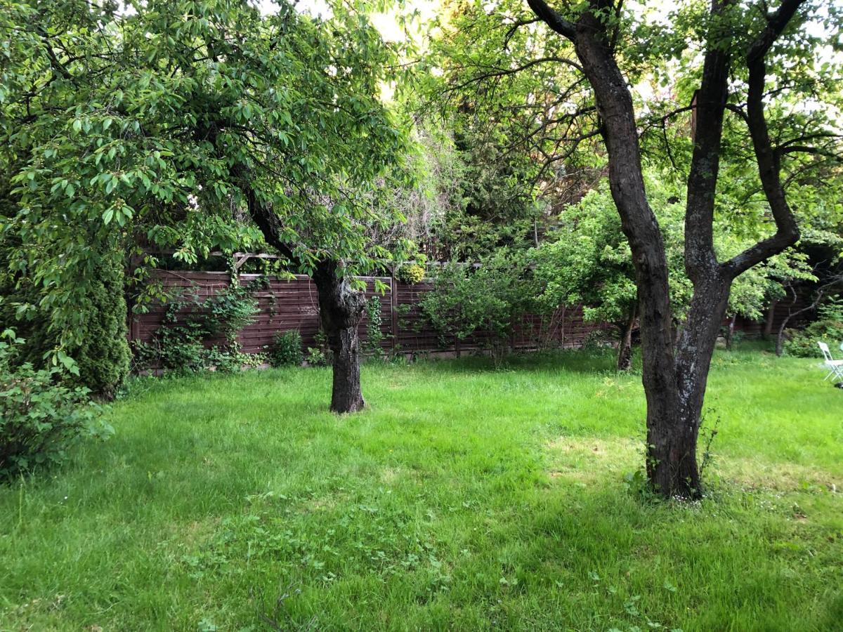 Green Hill Gdynia Orlowo Екстериор снимка